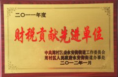 YP电子无纺布荣获财税贡献先进单位